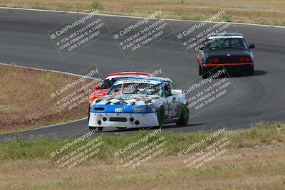 media/May-04-2024-Lucky Dog Racing (Sat) [[d39539b3f3]]/Race Pics/1015am (Turn 2)/